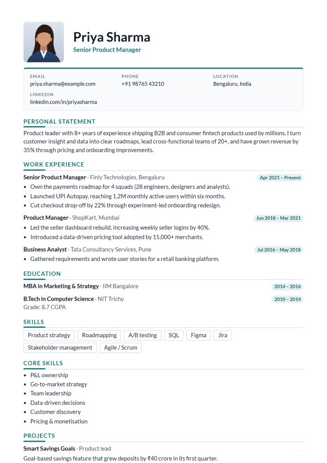 International Professional resume template