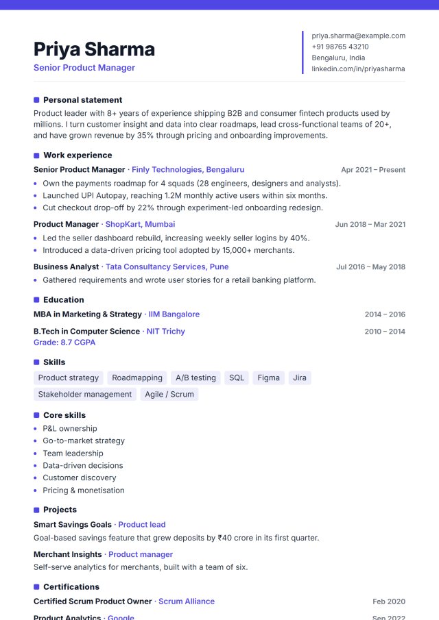 Modern Professional resume template